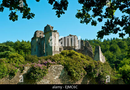 Old Wardour Castle near Salisbury, Wiltshire, England. Stock Photo