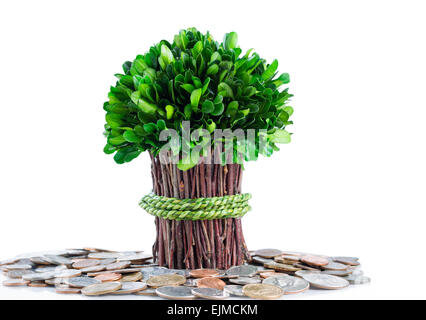 Small plant and branches coming out of pile of coins on glass table with isolated white background and reflection. Money tree co Stock Photo