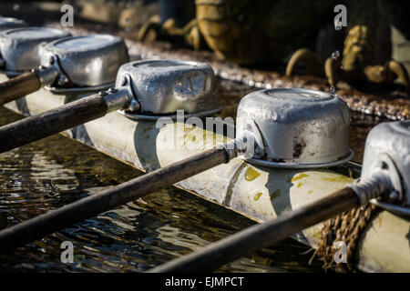 Japanese dragon water fountain pouring water into a chozubachi basin at Nigatsu-do Hall in Todaiji Temple, Nara, Japan Stock Photo