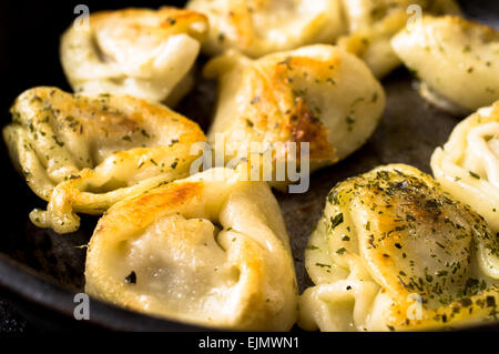 Fried dumplings with beef on rustic pan with greens. Close-up Stock Photo