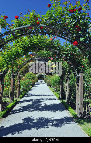 Lady Norwood Rose Gardens in the English style Christchurch Botanical Gardens, New Zealand, is the home of this rose arch. Stock Photo