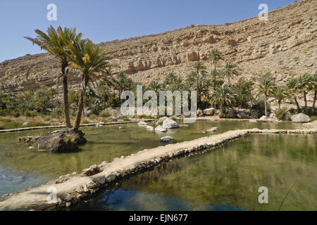 Pools and date palms in Wadi Bani Khalid, Sultanate of Oman Stock Photo