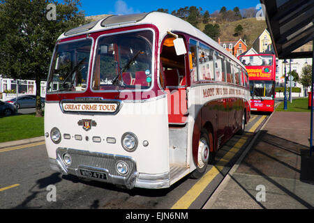 A vintage Great Orme tour bus on the seafront in Llandudno, North Wales, UK. Stock Photo