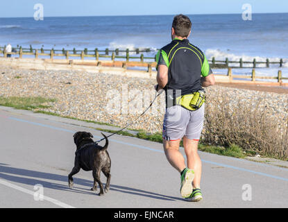 Man jogging along the seafront promenade with a dog. Stock Photo
