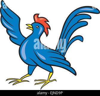 Illustration of a chicken rooster pointing wing looking to the side set on isolated white background done in cartoon style. Stock Photo