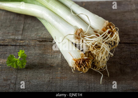 Bundle of fresh green onion on a wooden background Stock Photo