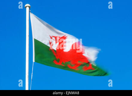 Welsh Flag blowing in the wind on blue sky background, Cardiff, Wales, UK, GB, Europe Stock Photo