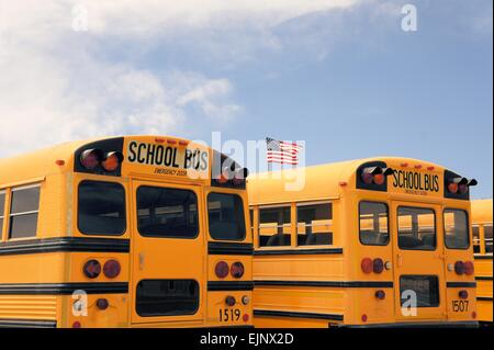 Row of American school busses, USA Stock Photo