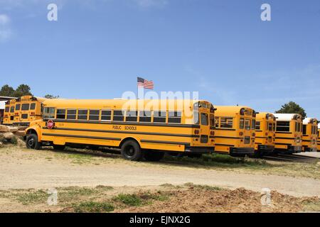 Row of American school busses, USA Stock Photo