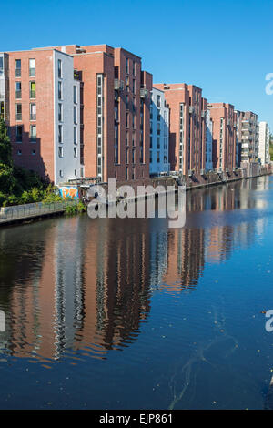 Modern residential buildings at the water seen in Hamburg Stock Photo