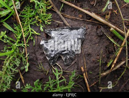 authentic indian arrowhead lying on ground Stock Photo