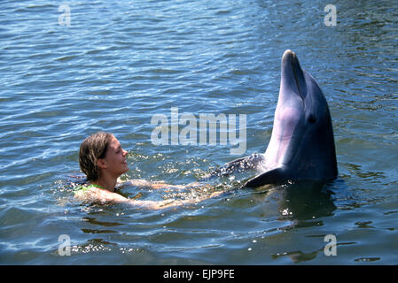 A tourist plays in the water with a bottle nose dolphin at the Dolphin Research Center  June 27, 1996 in Marathon Key, FL.  The center is where the original Flipper was trained and specializes in returning trained dolphins to the wild. Stock Photo