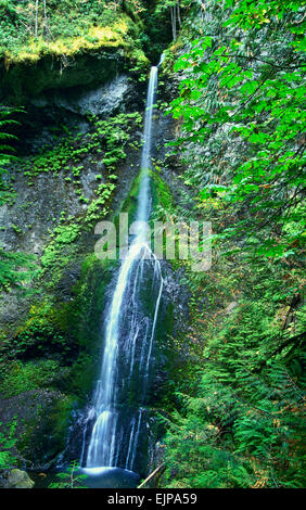 Marymere Falls, near Crescent Lake, Olympic National Park, Washington Stock Photo