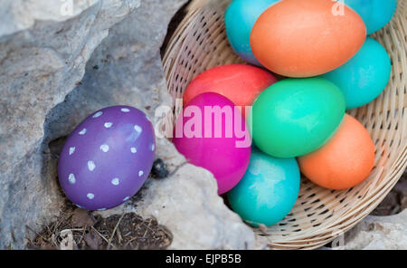 Placing painted eggs in various places for egg hunt Stock Photo