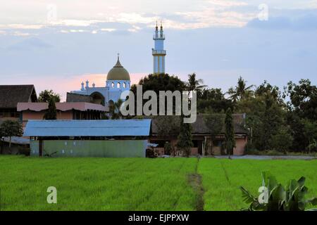 Islamic Mosque in green ricefields, Yogyakarta, Indonesiea Stock Photo