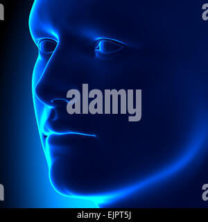 Anatomy Head - Iso View - Blue concept Stock Photo