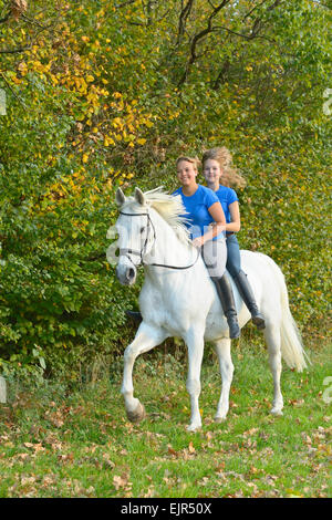 Two young riders sitting together on back of a Bavarian horse galloping in a meadow Stock Photo