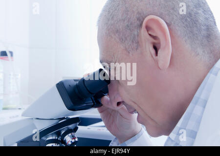 Hispanic scientist using microscope in lab Stock Photo