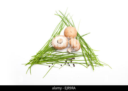 three uncooked champignon mushrooms on a bunch of parsley, pepper and salt around, white background, aerial view Stock Photo