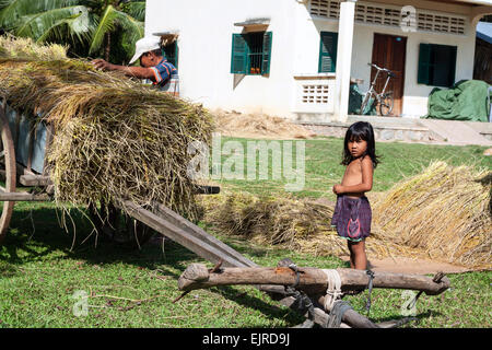 Harvest season in Cambodia, Asia. A little girl helping her father. Stock Photo