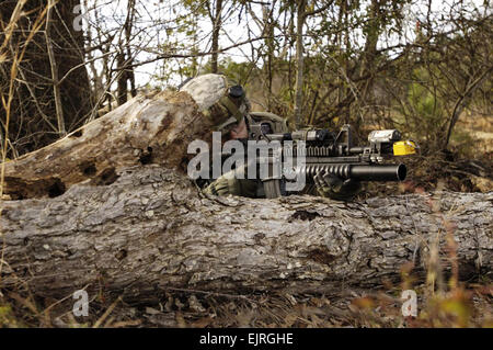 A U.S. Army Soldier from 1st Battalion, 30th Infantry Regiment, 3rd Infantry Division provides security from behind a fallen tree during training at Fort Stewart, Ga., March 2, 2007.  The 3rd ID is conducting training with the assistance from observer controller teams from the National Training Center in preparation for a future deployment.    Staff Sgt. Alfred Johnson Stock Photo