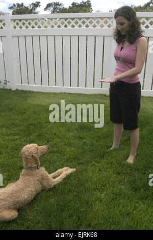 Military ohana open hearts, homes to raise service dogs  Molly Hayden, U.S. Army Garrison-Hawaii Public Affairs July 03, 2008  WAHIAWA, Hawaii - Volunteer puppy raiser Lauren Novotny motions dog in training, Val, to lie down. Novotny opened her home to assist Hawaii Fi-Do train future service dogs.  see: /-news/2008/07/03/10637-military-ohana-open-h...  /-news/2008/07/03/10637-military-ohana-open-hearts-homes-to-raise-service-dogs/ Stock Photo