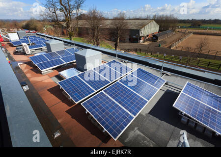 Row of photovoltaic cells on roof of modern  college building Stock Photo