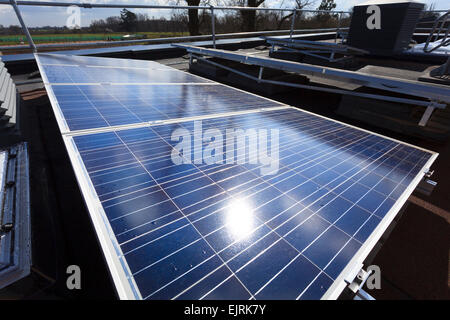 sun reflecting off photovoltaic cell  panels Stock Photo