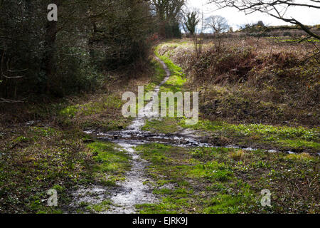 A public right of way running through the countryside in County Durham.