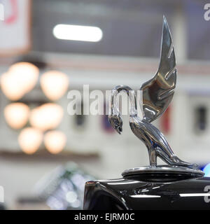 Chesterfield Twp., Michigan - A swan hood ornament on a 1934 Packard on display at Stahl's Automotive Foundation. Stock Photo