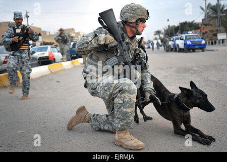 081129-N-1810F-389. FORWARD OPERATING BASE FALCON, Iraq – Staff Sgt. Christopher Ogle, a native of Beaver Creek, Ohio, and military police dog handler, leads his assigned dog, &quot;Liaka,&quot; a Dutch Shepherd, along streets in the Hadar community during a mission with Company C, 2nd Battalion, 4th Infantry Regiment, attached to the 1st Brigade Combat Team, 4th Infantry Division, Multi-National Division – Baghdad, and Iraqi National Police on a combined security patrol Nov. 29, in southern Baghdad’s Rashid district.  Petty Officer 2nd Class Todd Frantom, attached to the 1st BCT PAO, 4th Inf. Stock Photo
