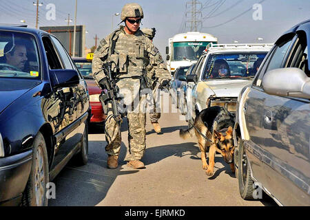 Staff Sgt. Joseph Branch inspects traffic with his partner, Nemo, in Ghazaliya, Baghdad, Iraq, Dec. 9, 2008. Branch, assigned to the 18th Security Forces Squadron, and fellow soldiers assigned to the 1st Infantry Division's 5th Cavalry Regiment team up with two U.S. Air Force Military Working Dog teams to search cars at Iraqi army check points.  Senior Airman Daniel Owen Stock Photo