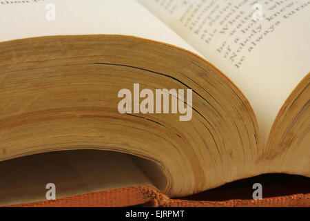 An old book is open to reveal a tattered spine and pages; Closeup view Stock Photo