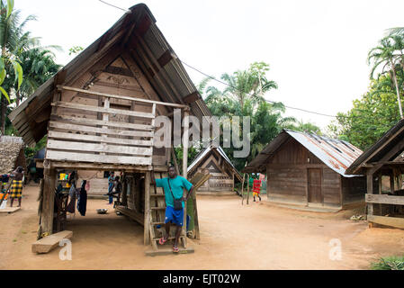 Traditional hut in Maroon village on the Upper Suriname River, New ...