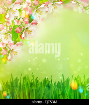 Blossoming apple tree and green grass over blurred nature background with light leaks Stock Photo