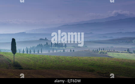 Val D'Orcia in the early morning mist Stock Photo