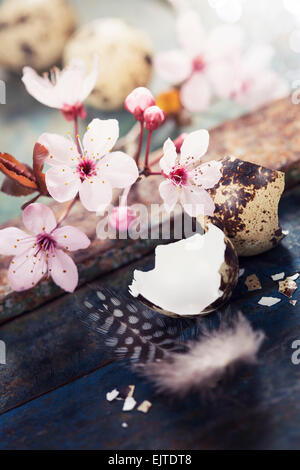 Easter composition with quail eggs and Cherry Blossom branches Stock Photo