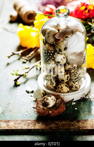 quail eggs and easter decorations Stock Photo