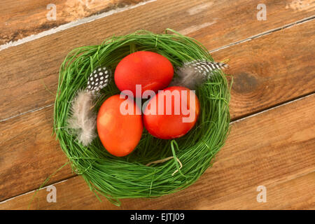 Easter egg in a green nest. Stock Photo