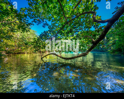 Blue Lagoon, Port Antonio, Portland region, Jamaica Stock Photo