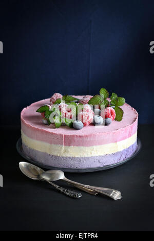 Ice cream cake with blueberry,raspberry and vanilla Stock Photo