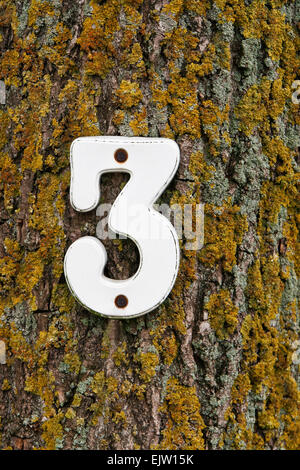 House number 3 in white on a tree trunk Stock Photo