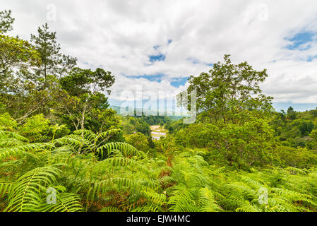 Dense rainforest and stunning landscape in Toraja Area, South Sulawesi, Indonesia. Panoramic view from above with dramatic cloud Stock Photo