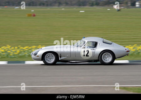 The Jaguar E-Type Low Drag of Mark Gibbon cornering hard at the Goodwood Members Meeting 2015 Stock Photo