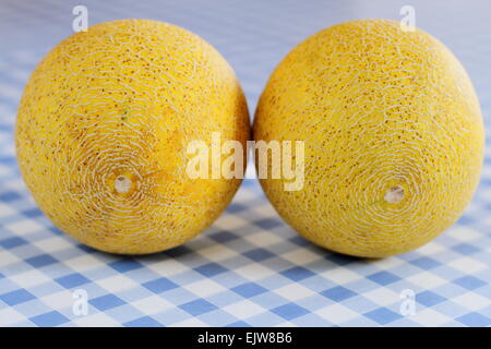 Two Galia melon on white-blue checkered table, soft focus Stock Photo