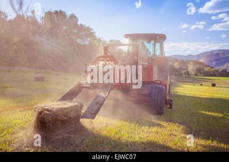 USA, Colorado, Tractor in field at sunset Stock Photo