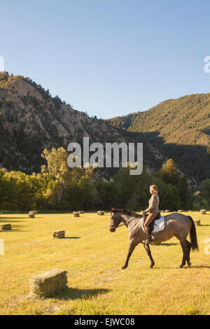 USA, Colorado, Woman horseback riding in field at sunset Stock Photo