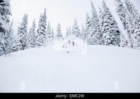 USA, Montana, Whitefish, Young man skiing in forest Stock Photo