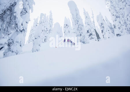 USA, Montana, Whitefish, Young man skiing in forest Stock Photo