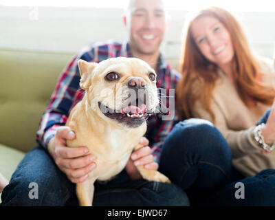 Couple with pug sitting on sofa Stock Photo